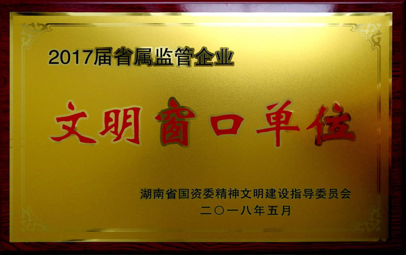 爱游戏手机登录入口-爱游戏（中国）集团养老产业有限公司荣获“省属监管企业文明窗口单位”称号